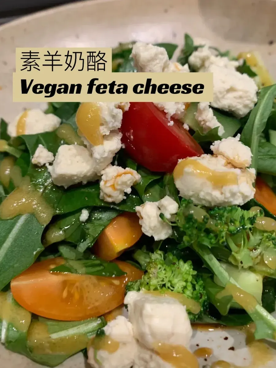 超人气在家就可以自己做的全素羊奶芝士